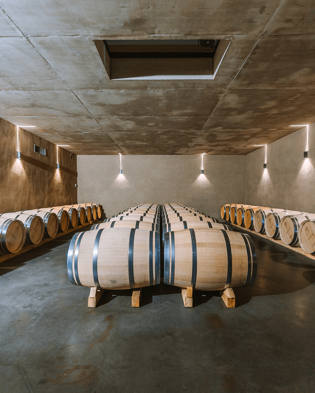 photographie de la cave de gerard bertrand pour les reseaux sociaux