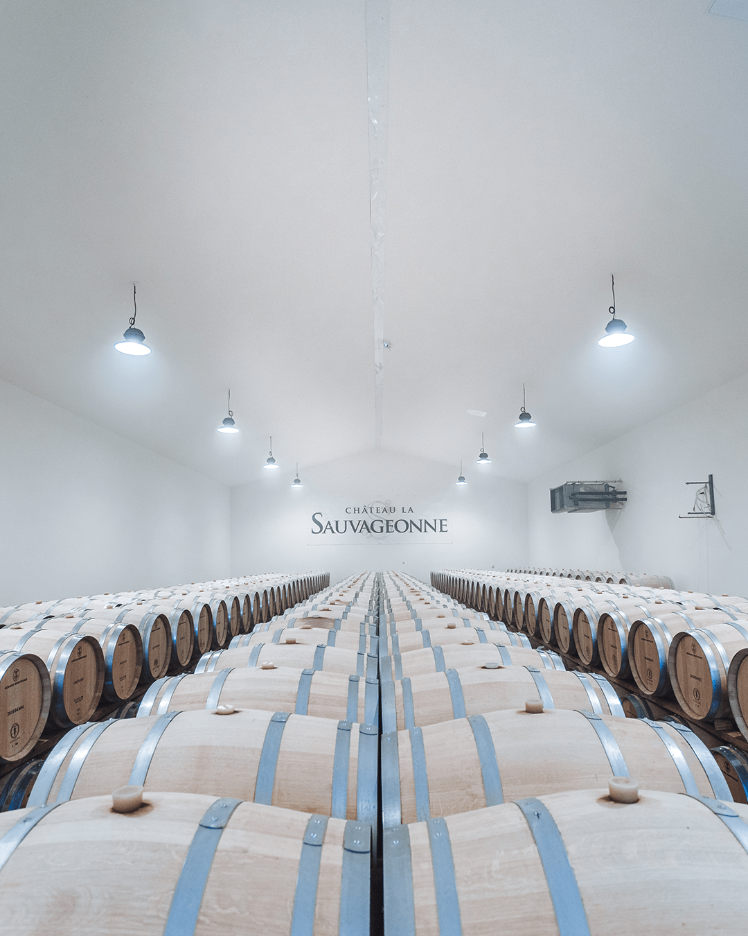 photographie de la cave de la sauvageonne de gerard bertrand pour les reseaux sociaux